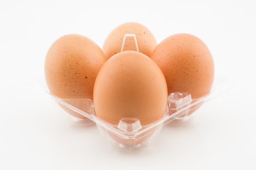 Four eggs in plastic tray packaging isolated on white background
