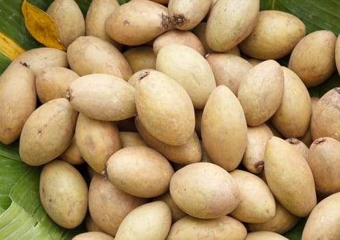 Sapodilla fruit on banana leaves