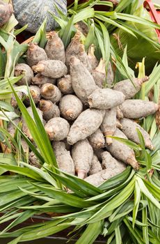 Group of Taro on Pandan Leaves