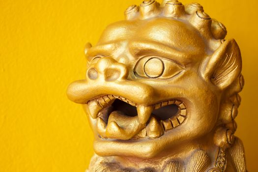 Chinese golden head leo statue on white yellow background