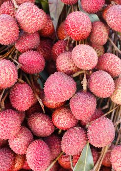 Fresh lychees  fruit (Litchi chinensis)