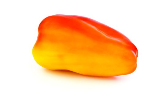 One red and yellow sweet pepper on a white background