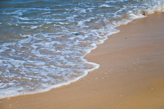 Beach and water background
