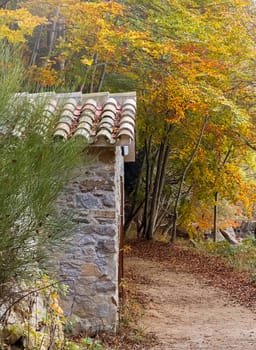 little cabin on the woods, autumn season