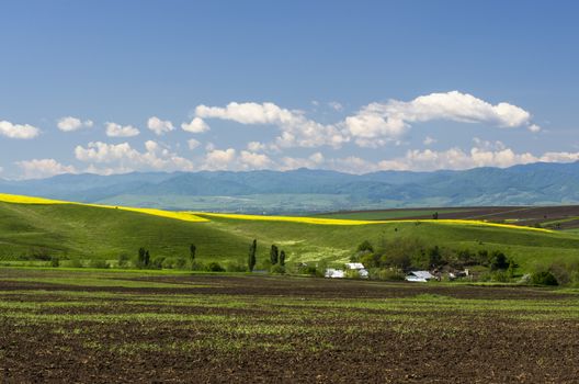 Spring landscape: rapeseed field with the mountains behind.