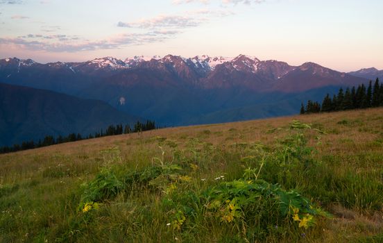 Part of Olympic National Park the sun begins to hit Hurrican Ridge