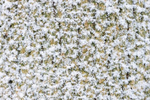 Closeup of tree bark covered in snow during winter