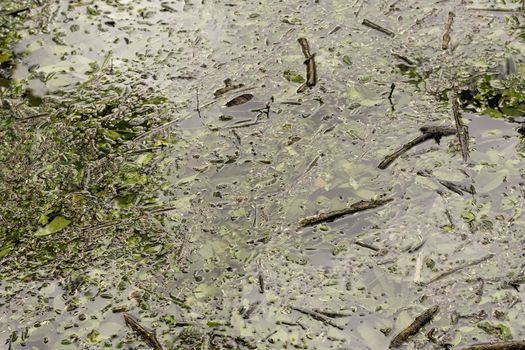 Dirty swimming pool after a strong typhoon