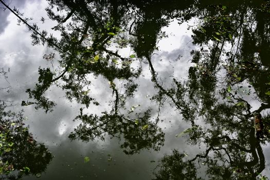 Dirty swimming pool after a strong typhoon