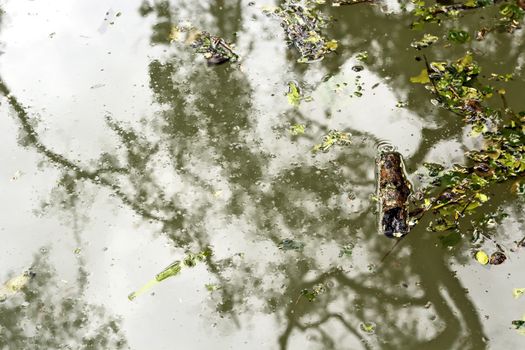 Dirty swimming pool after a strong typhoon