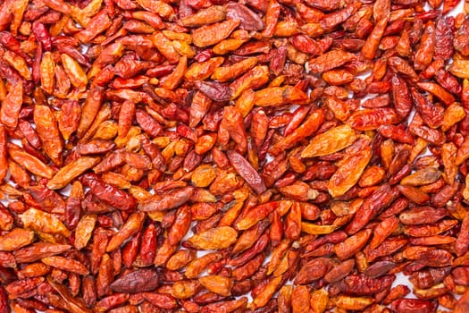 Dried red hot chili Peppers.