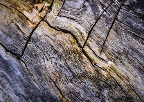 abstract background or texture old rotten wood