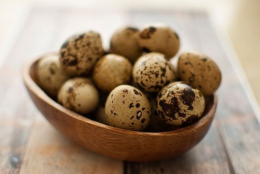 healthy fresh organic quail eggs