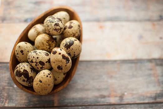 healthy fresh organic quail eggs