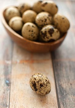 healthy fresh organic quail eggs