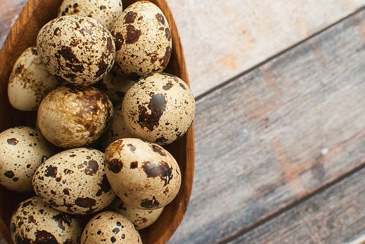 healthy fresh organic quail eggs