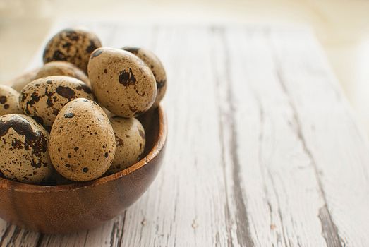 healthy fresh organic quail eggs