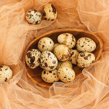 healthy fresh organic quail eggs