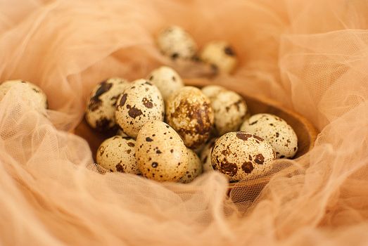 healthy fresh organic quail eggs