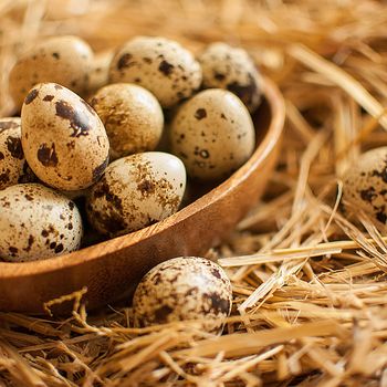 healthy fresh organic quail eggs