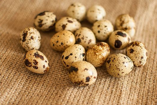 healthy fresh organic quail eggs