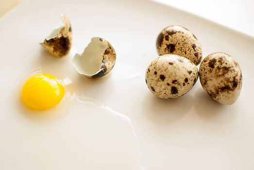 healthy fresh organic quail eggs