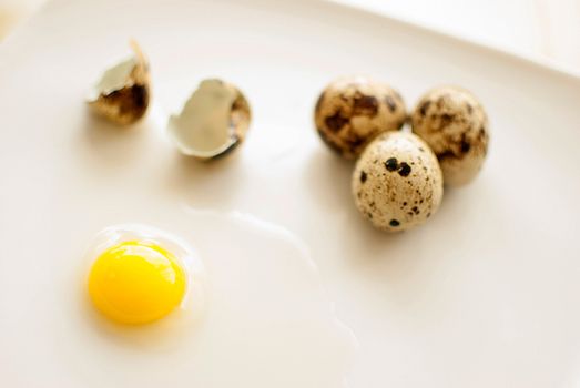 healthy fresh organic quail eggs