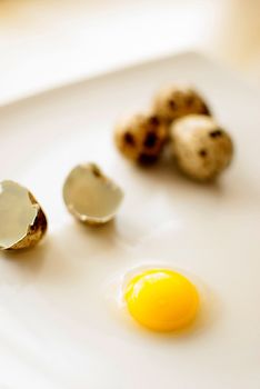 healthy fresh organic quail eggs