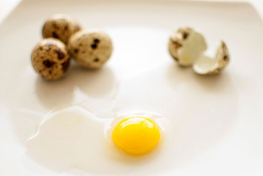 healthy fresh organic quail eggs