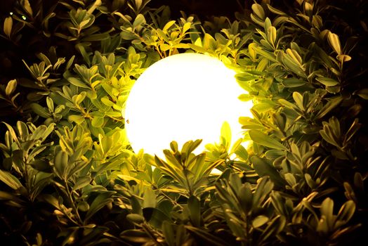 Night sphere light through leaves and branches. Abstract background