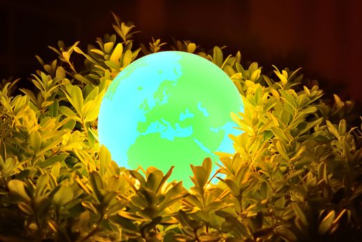 Glowing Earth through leaves and branches. Abstract background