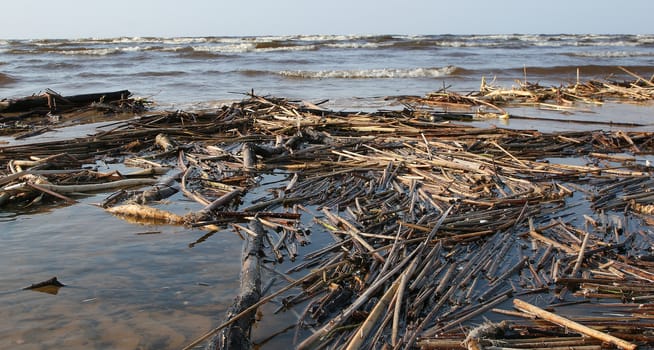 Riga Gulf Coast after the spring storms.