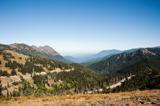 Hurricane Ridge in the Olympic Peninsula