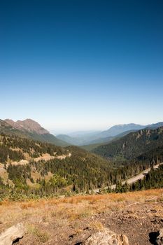 Hurricane Ridge in the Olympic Peninsula