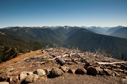 Hurricane Ridge in the Olympic Peninsula