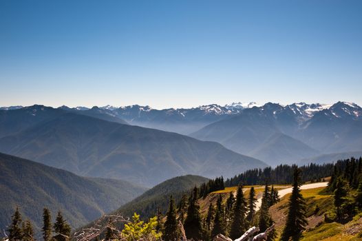 Hurricane Ridge in the Olympic Peninsula