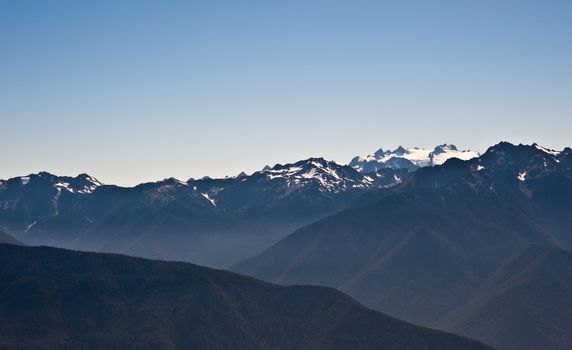 Hurricane Ridge in the Olympic Peninsula