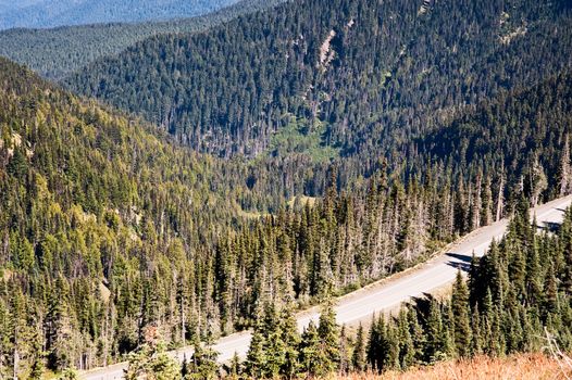 Hurricane Ridge in the Olympic Peninsula