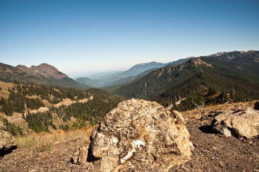 Hurricane Ridge in the Olympic Peninsula