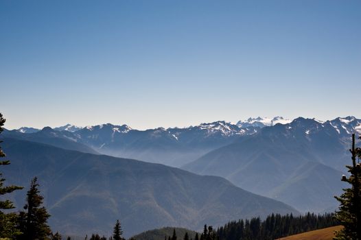 Hurricane Ridge in the Olympic Peninsula