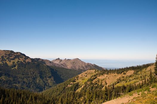 Hurricane Ridge in the Olympic Peninsula