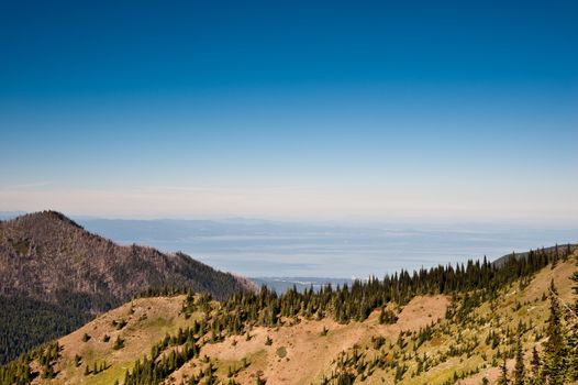 Hurricane Ridge in the Olympic Peninsula