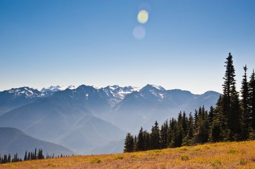 Hurricane Ridge in the Olympic Peninsula