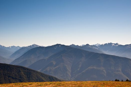 Hurricane Ridge in the Olympic Peninsula