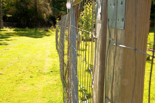 Farm fence and field