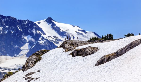 Hikers Snowfields Glaciers Artist Point Mount Shuksan Mount Baker Highway Snow Mountain Washington State Pacific Northwest