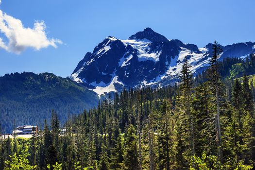 Mount Shuksan Evergreens Mount Baker Ski Area Snow Mountain Washington Pacific Northwest

