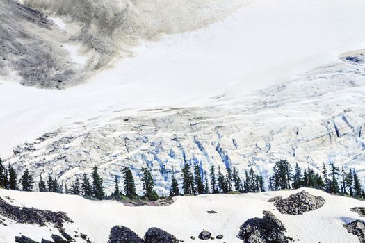 Mount Shuksan Glacier Evergreens Artist Point Mount Baker Highway Snow Mountain Washington State Pacific Northwest
