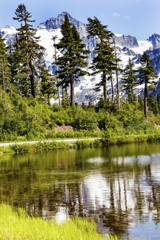 Picture Lake Evergreens Mount Shuksan Mount Baker Highway Snow Mountain Trees Washington Pacific Northwest USA

