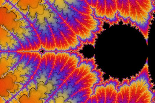 Digital visualization of a fractal